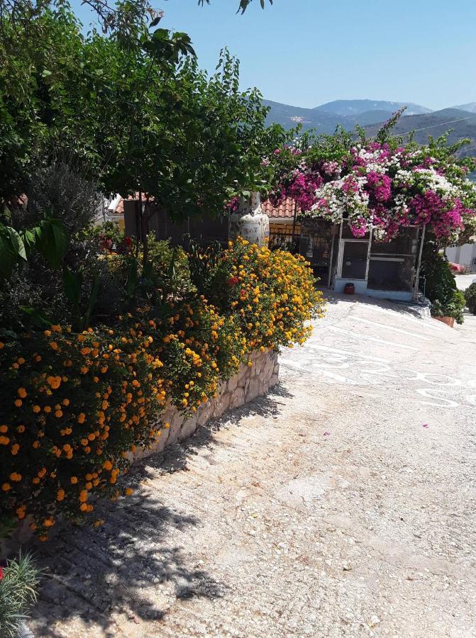 Elenh House Apartment Argostoli  Exterior photo