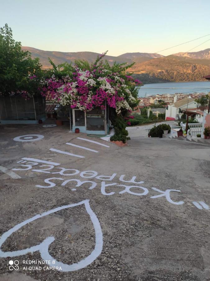 Elenh House Apartment Argostoli  Exterior photo