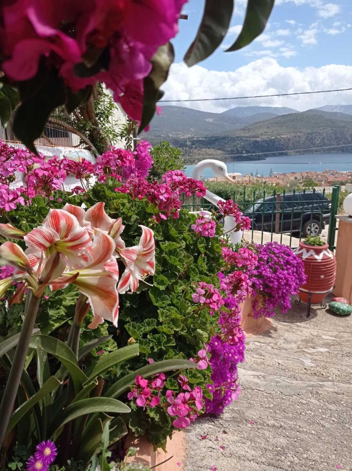 Elenh House Apartment Argostoli  Exterior photo