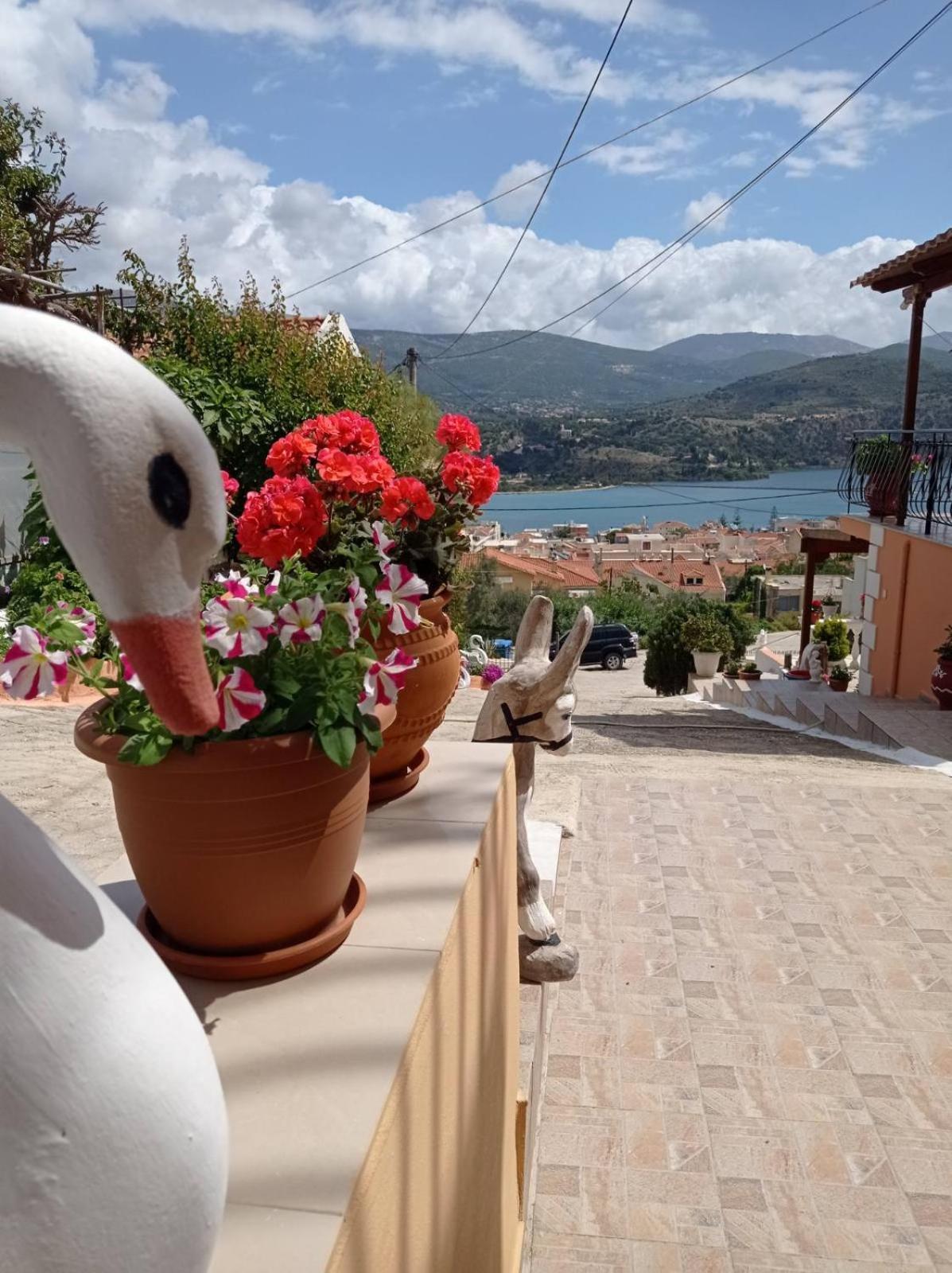 Elenh House Apartment Argostoli  Exterior photo