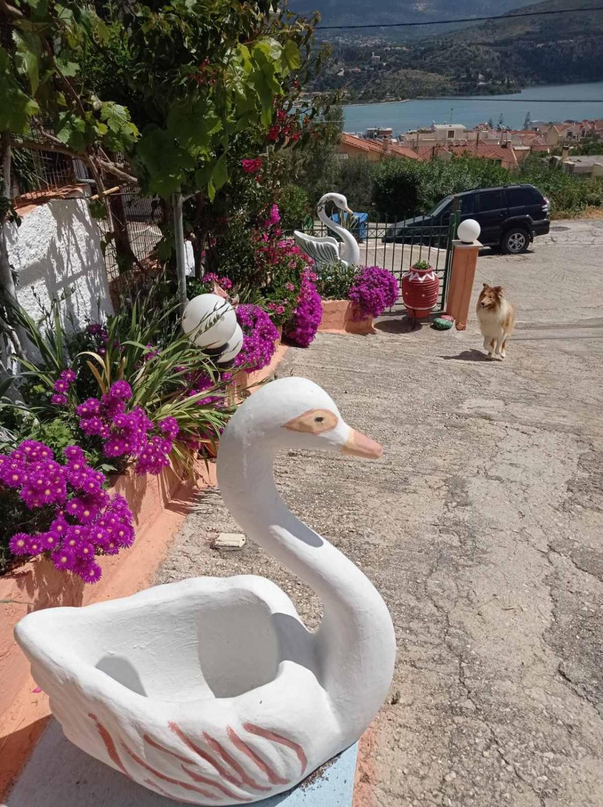 Elenh House Apartment Argostoli  Exterior photo