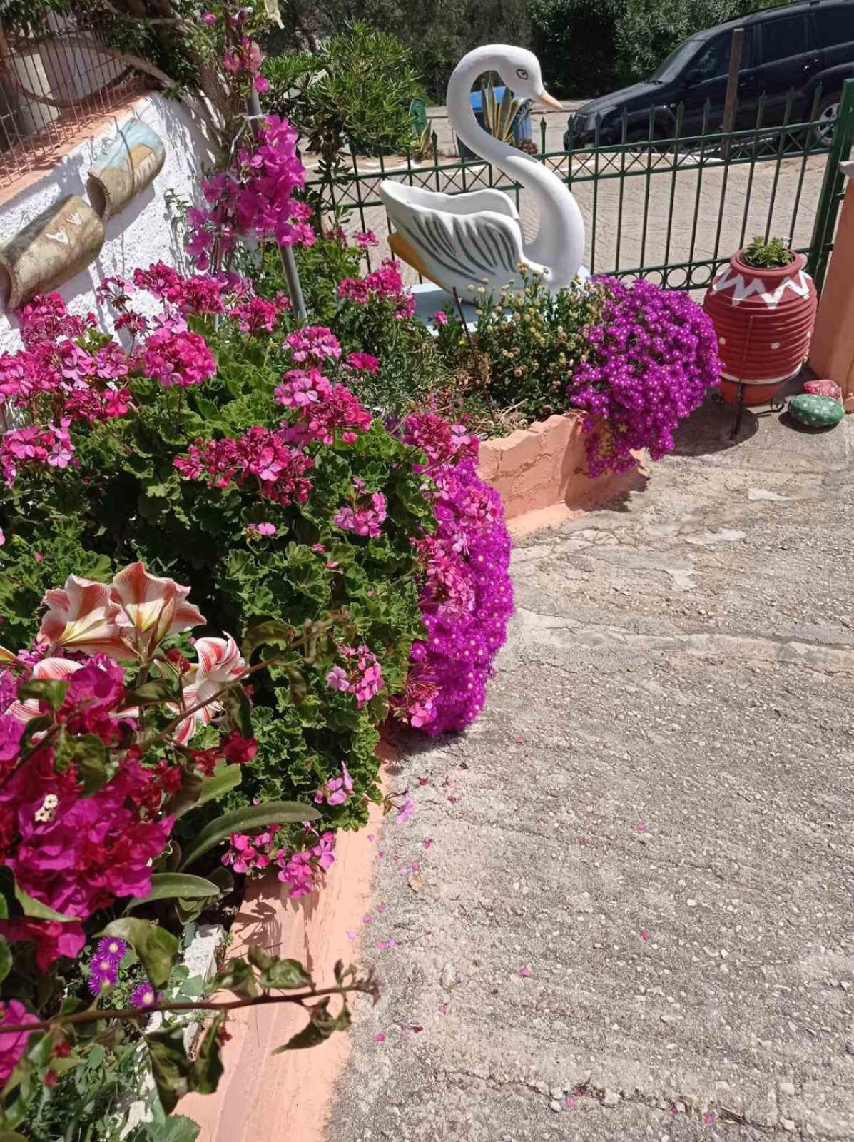 Elenh House Apartment Argostoli  Exterior photo